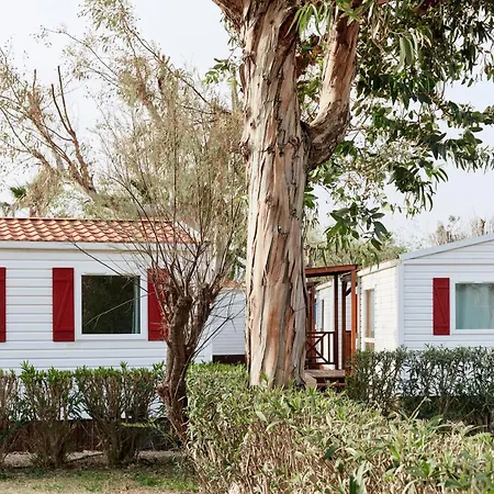 Camping Taiga Delta De L'ebre