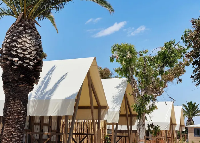 Taiga Delta De L'ebre