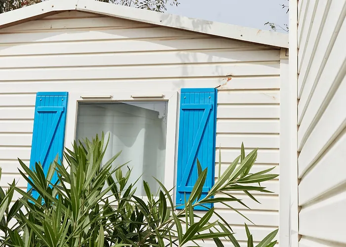 Taiga Delta De L'ebre Camping 4*