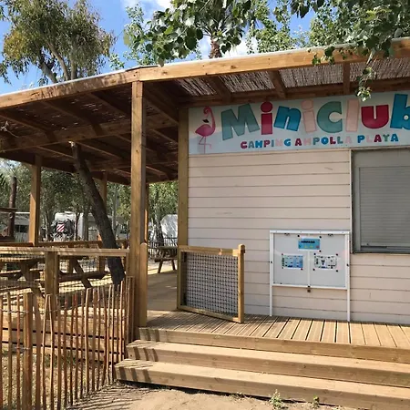 Taiga Delta De L'ebre 4*