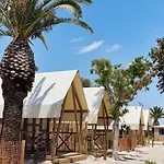 Taiga Delta De L'ebre