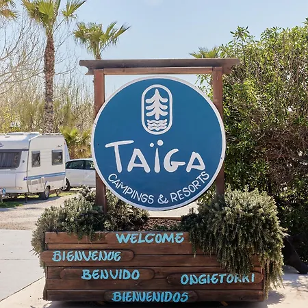캠프장 Taiga Delta De L'ebre